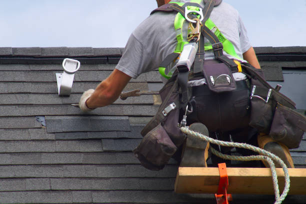 Affordable siding repair and maintenance services in Tiburon, CA