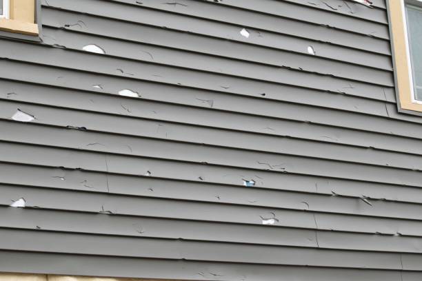 Best Steel Siding Installation  in Tiburon, CA
