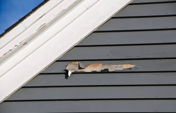 Trusted Tiburon, CA Siding Installation & Repair Experts