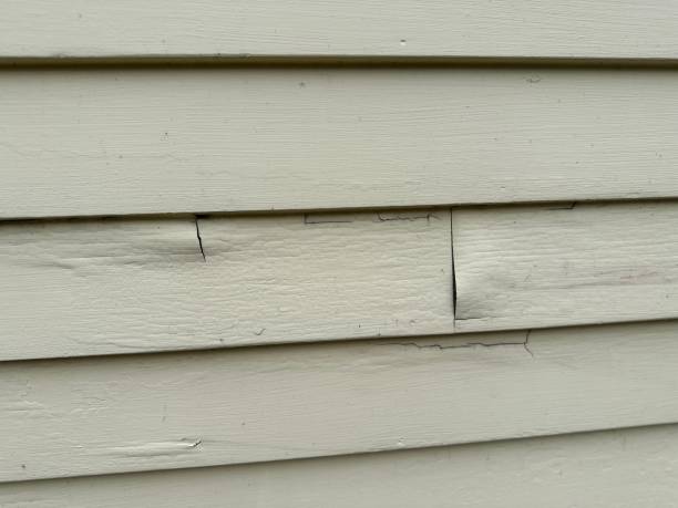 Best Storm Damage Siding Repair  in Tiburon, CA